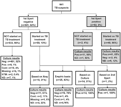 Flow Chart Of Diagnostic Assessment And Basis Of Tb