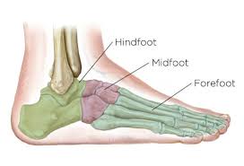 A grade ii sprain is a moderate injury and can result in partial tearing of one or two of the ankle ligaments. Midfoot Sprain Diagnose Treatment And Surgery Options Sportsmd