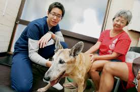 This exceptional pet shop provides individualized and generous care for your adorable pets. Holistic Pet Care Honolulu Star Advertiser