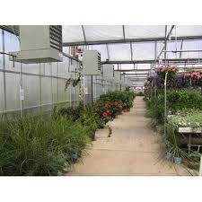 Lately, we've noticed a growing misunderstanding around diesel fuel options in the current market. Greenhouse Heaters Growers Supply