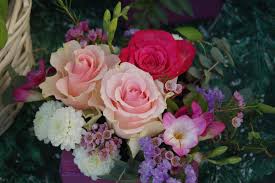 49 Best موسوعة الورد Images Rose Flowers Beautiful Roses
