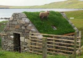 The Grass Is Always Greener On The Other Side Of The Fence Het Gras Bij De Buren The Grass Is Always Greener On The Other Side Of The Fence Shetland Islands Scotland Green Roof