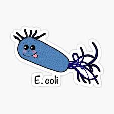 You want to serve a few different options that enhance the experience of. E Coli Stickers Redbubble