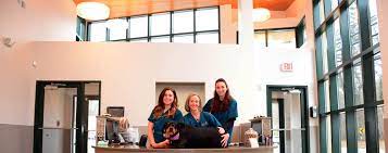 Gold coast provides high quality veterinary specialty care in multiple disciplines including cardiology, dentistry, dermatology, emergency & critical care. Gold Coast Center For Veterinary Care Veterinary Specialists On Long Island