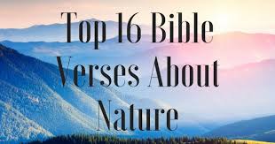 Bible quotes about love · god loves you · god's love is unconditional · god's love is revealed to us in jesus · god calls us to love our enemies . Top 16 Bible Verses About Nature Christianquotes Info