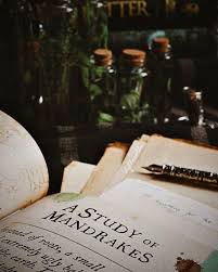 Who was the professor of plants in harry potter? Hogwarts Aesthetic Tiktok Novocom Top
