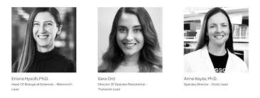 Tuesday assorted links