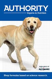 Authority Advanced Wellness Pet Food Premium Solution Specific Formulas Based On Clinical Research Wellness Pet Food Cute Small Dogs Food Animals