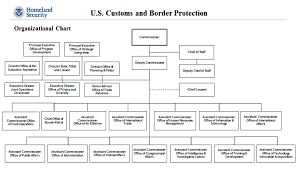 Department Of Homeland Security Organizational Chart Us