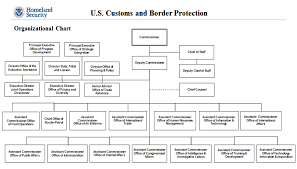 department of homeland security organizational chart us