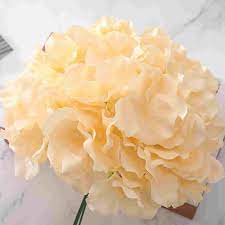 Silk hydrangea flowers wedding party wall. Buy Lackingone 12pcs Silk Hydrangea Flowers Artificial Flowers Heads With Stems Beige Artificial Hydrangea Flowers For Home Wedding Party Indoor Outdoor Decorations Fake Flower For Grass Wall Decor Online In Poland B08pp9hry6