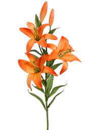 $125 per class or full series for $337.00 (a 10% savings) what's included: 28 Orange Garden Lilies Silk Lilies Silk Flowers Orange Lily Flower Tiger Lily Flowers Flowers Reference