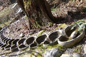 Water Flow Forms Healing Water On Biodynamic Farm Biodynamic Gardening Water Garden Permaculture