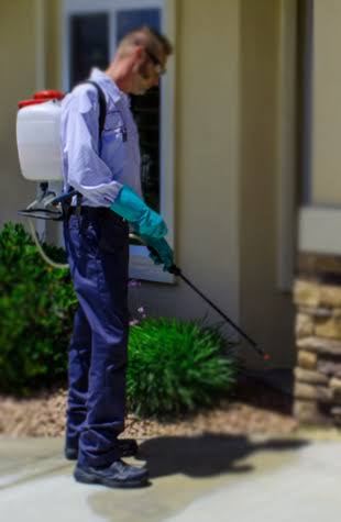 Commercial Property Inspection