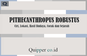 Pithecanthropus Robustus Ciri Lokasi Hasil Budaya Corak Dan Sejarah