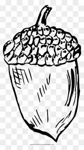 57 images acorn coloring page use these free images for your websites, art projects, reports, and powerpoint presentations! Acorn Drawing Drawing Of An Acorn Free Transparent Png Clipart Images Download