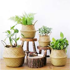 Pflanze Blumentopfe Waschekorb Faltbar Seegras Blumenkorb Handgewebt Blumen Stroh Korb Fur Pflanze Blumentopf Mit Griffen Ama Pflanzkorb Blumentopf Blumenkorb