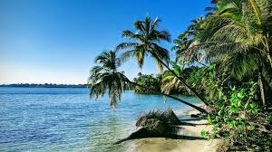 The bocas del toro bus ticket office numbers are: Panama Plant Erleichterte Einreise Fur Geimpfte Reisetopia