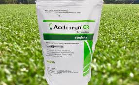 Warm season refers to the fact that they prefer warm temperatures of spring and summer. How To Use Acelepryn Gr The Best Turf Insect Control For Your Lawn