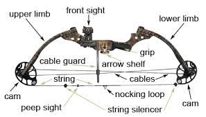 If you've been wondering how to do that, you've come to the right place. Diagram Of Compound Bow