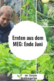 In 2017 Beweise Ich Dir Dass Ich Aus Einem Einzigen Gemusebeetkasten Mindestens 150 Frische Und Biologisch Gemusegarten Anlegen Garten Selbstversorger Garten
