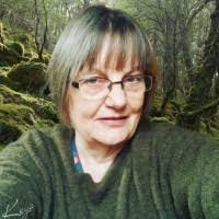 Amelia Forest's Instagram, Twitter & Facebook