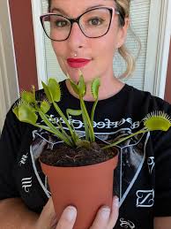 How to care for a dormant Venus fly trap?