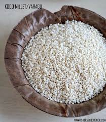 Millet Types Of Millets Health Benefits Glossary Kambu Thinai Saamai Varagu Kuthiraivali Ragi Unique Recipes Ayurvedic Recipes Food