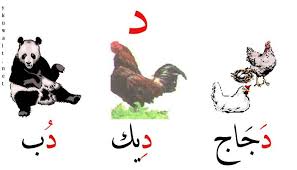 بطاقات تعليم الحروف العربية بالصور منتدى ياكويت learn arabic alphabet arabic words arabic alphabet