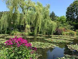 Claude Monet Garden Giverny Monet Garden Giverny Water Lilies Water