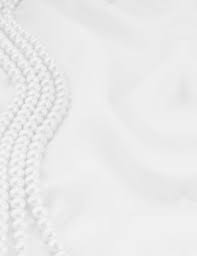 2024 DCPIII Cotillion Souvenir Journal by VXPRO, INC