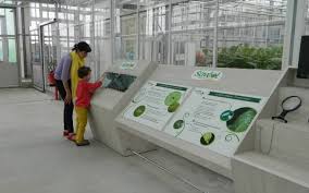 Discover the best of briec so you can plan your trip right. La Ferme Aux Insectes Saveol Nature Recreatiloups Finistere