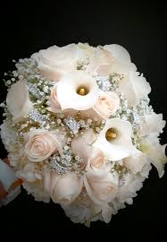 They do limit the amounts you can buy at times due to shortages but. Maria Floral More At Winn Dixie Home Facebook