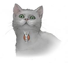 Hyperthyroidism In Cats Cornell University College Of