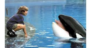 The twist of hyperspace had been brought about by an accident when nobita's room connected to roppuru's spaceship door. Free Willy Movie Review