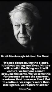 Jeff Downes (jeffdownes169)