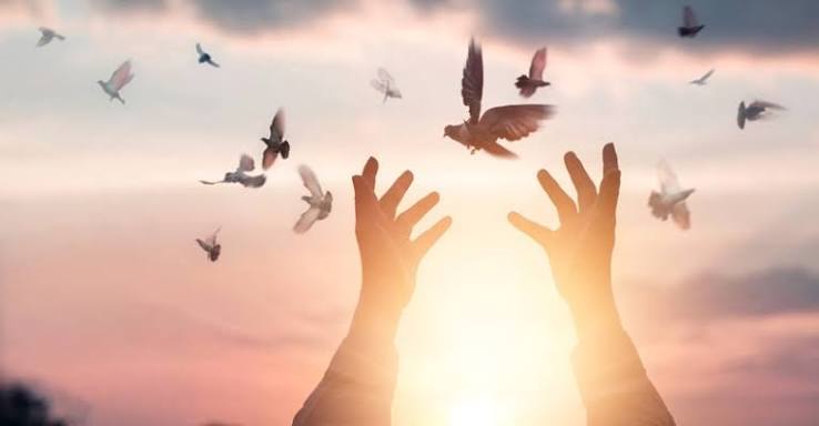 25 Ways the Holy Spirit Works in the Lives of Believers | iBelieve.com