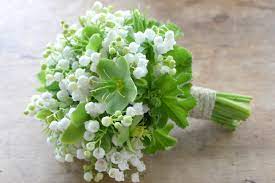 We did not find results for: Lily Of The Valley Pulteney Bridge Flowers