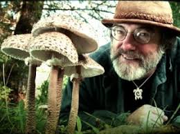 Paul Stamets