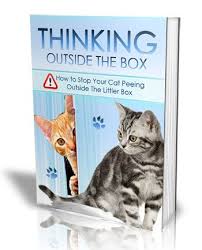 When You Have A Cat That S Peeing Outside The Litter Box Time Is Of The Essence The 4 Day Action Plan Is A Guide You Can Start Tonight Cat Pee Cats