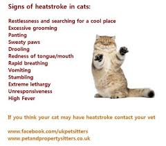 However, a cat can still suffer from heat exhaustion and even stroke if left outside in severe heat with no water or shade, left in a car, or in a house that is it's good to know the signs of heat exhaustion as the weather gets warm. Pet Property Sitters Blog
