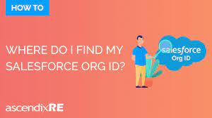 Whenever a sandbox is refreshed, a new org id is established. Where Do I Find My Salesforce Org Id Youtube