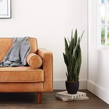 Save on home décor & more. Best Faux Plants That Actually Look Real 2021 To Buy On Amazon Stylecaster