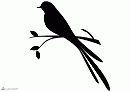 Outline Bird On Branch Drawing Spring Symblols Bird On Branch Of Tree Gif 1600 1131 Bird Bird Silhouette Bird On Branch