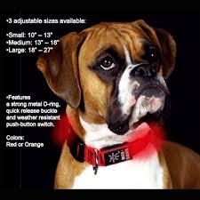 Nite Dawg Led Dog Collar