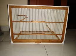 Namun apabila kita tidak ingin kesusahan untuk membuat sangkar burung silakan beli saja sangkar burung di pasar burung di sana juga menjual berbagai macam jenis sangkar maupun dengan pilihan model yang beragam,harga sangkar burung sangat berfariasi untuk sangkar burung yang terbuat dari besi harga nya bisa 100 ribuan sampai dengan 300 ribu ,sedangkan untuk sangkar burung minimalis yang terbuat. Cara Membuat Kandang Ternak Kenari Yang Simple Dan Bagus