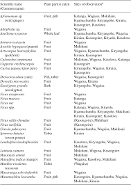 Image result for Aneilema nyasense