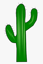 Sombrero transparent illustrations & vectors. Transparent Background Cactus Mexican Clipart Hd Png Download Transparent Png Image Pngitem