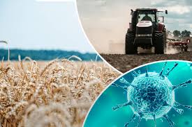 23 февраля «агробизнес» сыграл спарринг с призером высшей лиги беларуси. Agrobiznes Na Karantine Kak Agrokompanii Ukreplyayut Immunitet Ot Koronavirusa Latifundist Com