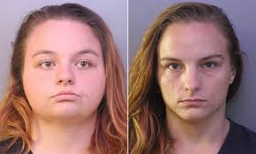 Florida woman named Crystal is arrested for meth possession